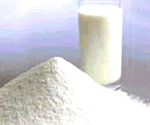 Skim Milk Powder