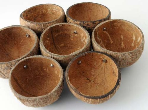 Coconut Shell