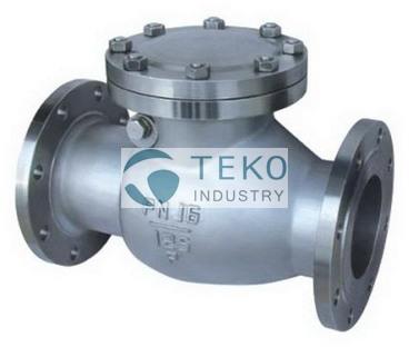 Stainless Steel Flanged Check Valve, Brand Name : TEKO