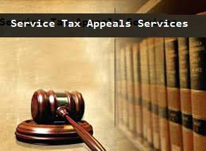 Service Tax Appeal Services