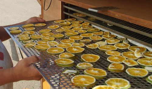 Solar Dried Vegetables and Fruits