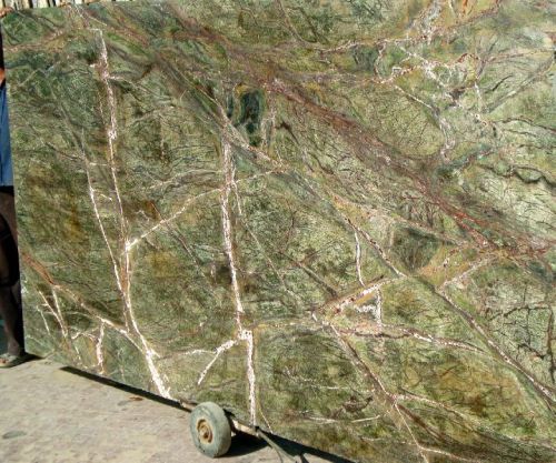 Polished Rainforest Marble Slabs, Size : 12x12 Inch