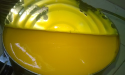 Totapuri Mango Pulp