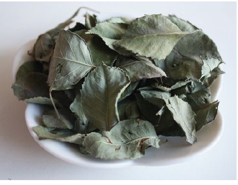 Common Dried Rose Leaves, Packaging Type : Loose, Plastic Box, Plastic Packet