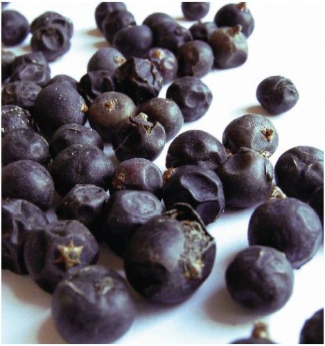 Natural Dried Juniper Berries, For Cosmetic Uses, Medical Uses, Purity : 90%