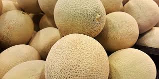 Muskmelon ( Kharbuj )