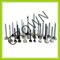 Engine Valves