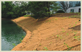 Bros India Coir Geotextiles, For Covering Agriculture Land