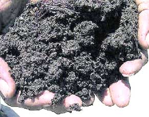 Organic manure