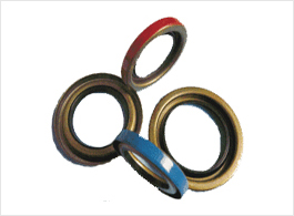 Oil Seals