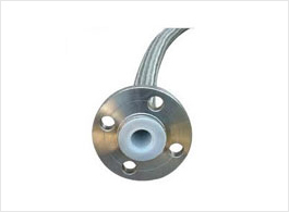 PTFE Hose With S.S. Braiding