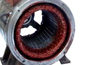 Semibrushless Alternators