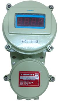 Flame Proof Process Indicator