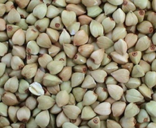 Newfield Buckwheat Kernels, Packaging Type : Green
