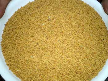 Fenugreek Seeds