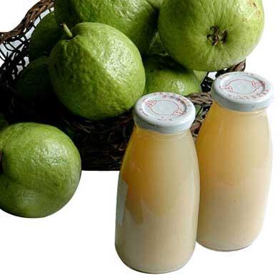 Organic Guava Pulp & Concentrate, For Home, Hotel, Restaurant, Purity : 100%