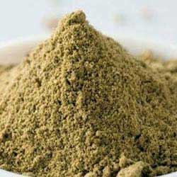 Coriander Powder 01