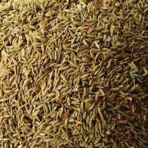 Cumin Seeds 06