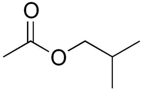 Isobutyl Acetate