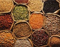 Pulses, Drying Process : Sun Dried