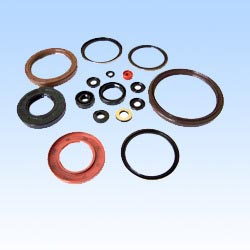 Oil Seals