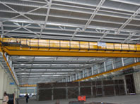 Double Girder EOT Crane