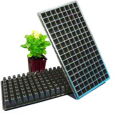 Seedling Tray