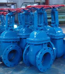 Ci Valves