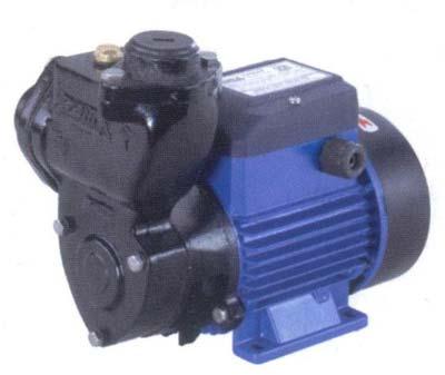 Side Suction Regenerative Pump