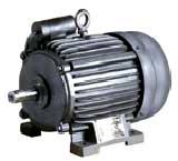 Induction Electric Motors