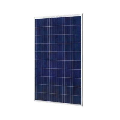 Poly Solar Module