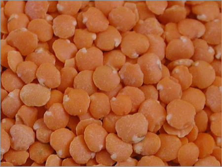 Red Lentil