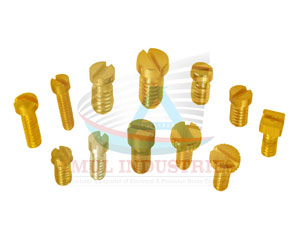 Brass Screw