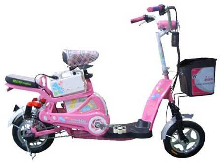 Integral Brushless Wheel Hub Motor