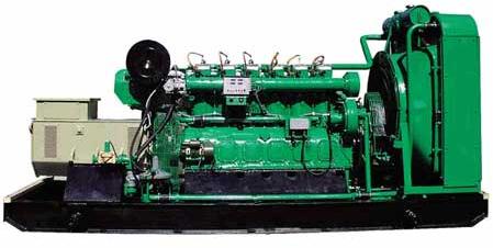 Natural Gas Generator