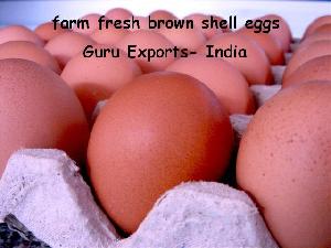 Egg, Brown Egg, Indian Poultry Egg, Brown Shell Egg, Indian White Eggs