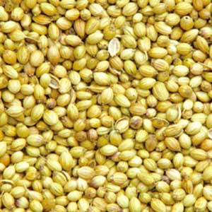 Coriander seeds, Drying Process : Sun Dried