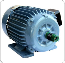 Dual Speed Motors