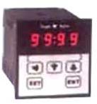 Digital Programmable Timer