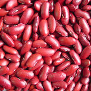 Dark Red Kidney Beans