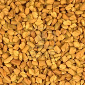 Fenugreek Seeds