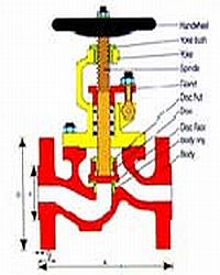 Globe Valves