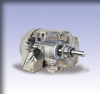 Electrical Motor