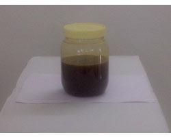 Malt Extract