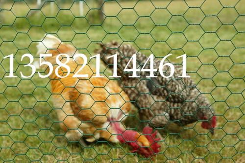 Chicken Wire Mesh,Hexagonal Wire Mesh