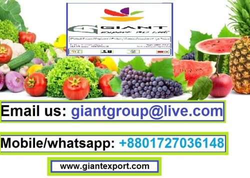 Fresh vegetables, Brand Name : Giant Export BD Ltd.