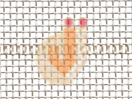 Fine Wire Mesh