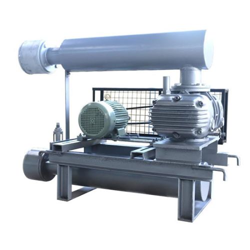 Twin Lobe Rotary Air Blower