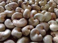 Agricultural cashew nuts, Grade : high quality for food consumption