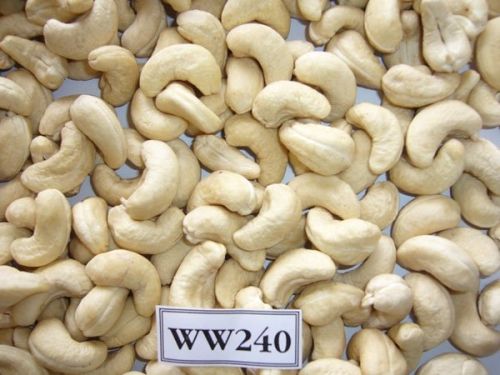 Raw Cashew Nuts, Packaging Type : Bags of 50kg, 80kg or 20kg Tins